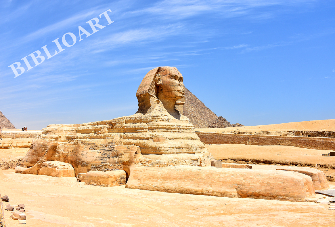ポストカード単品：AE007-BP
：The Great Sphinx of Giza