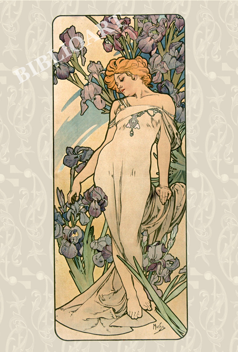 ポストカード単品：AM017-BP
：La Fleur(1897) -6