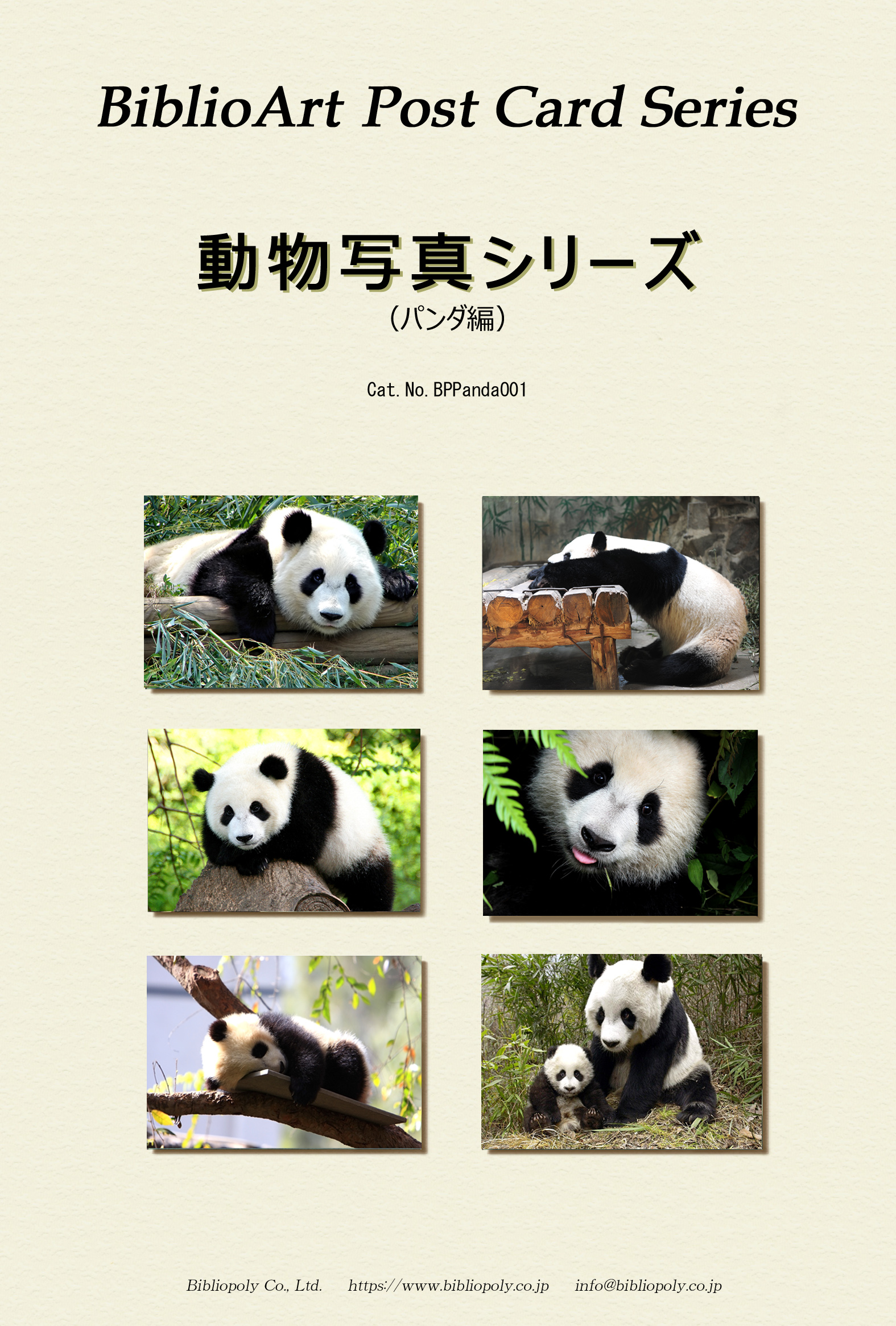 ポストカードセット：BPPANDA001：動物写真シリーズ（パンダ編）