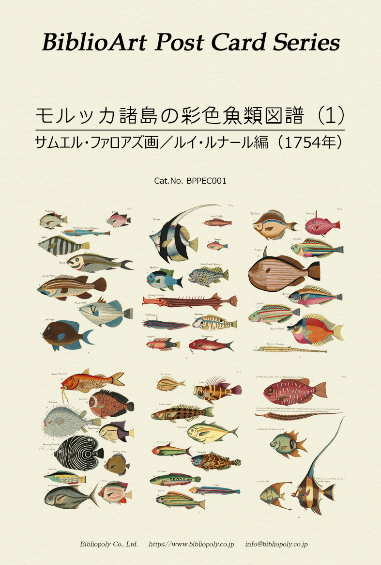 ポストカードセット：BPPEC001：サムエル・ファロアズの『モルッカ諸島の彩色魚類図譜』（１）