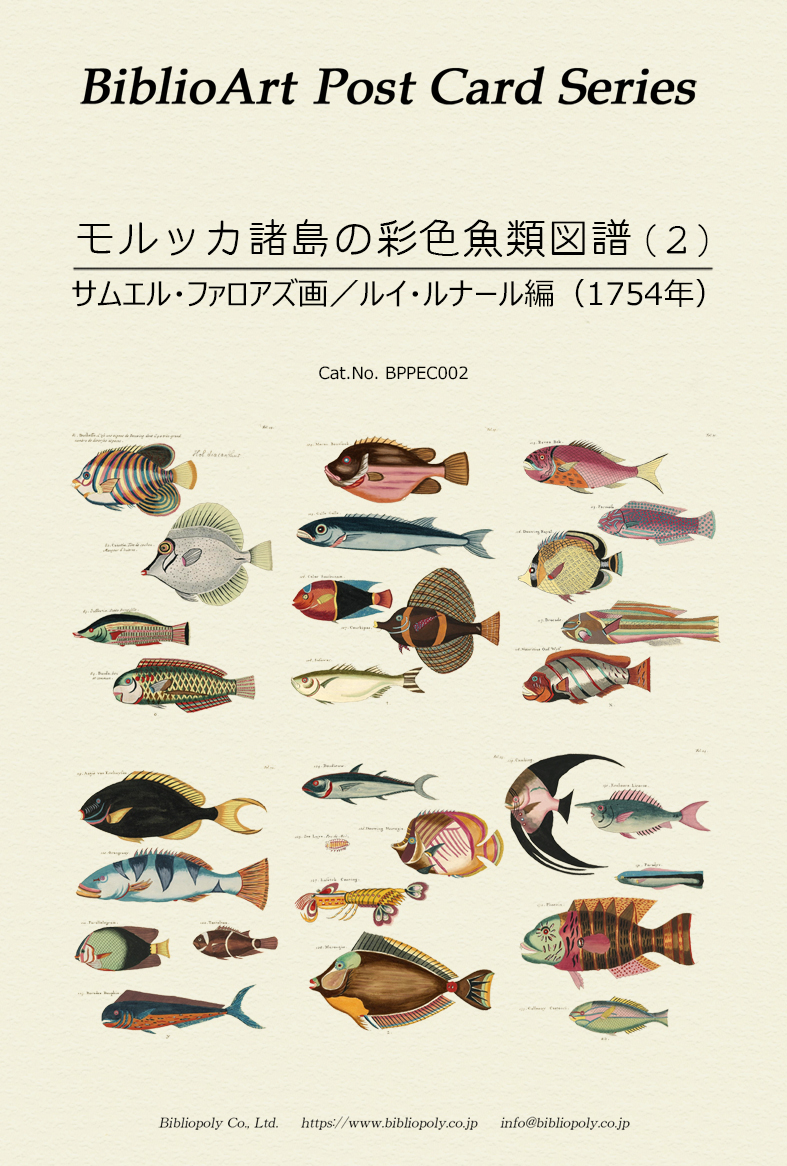ポストカードセット：BPPEC002：サムエル・ファロアズの『モルッカ諸島の彩色魚類図譜』（２）