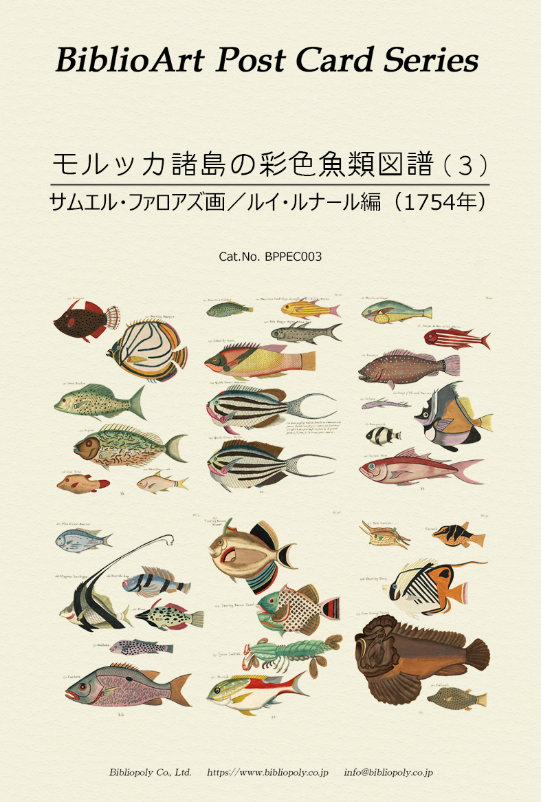 ポストカードセット：BPPEC003：サムエル・ファロアズの『モルッカ諸島の彩色魚類図譜』（３）