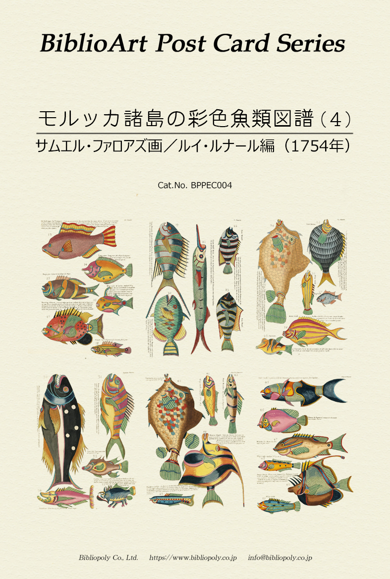 ポストカードセット：BPPEC004：サムエル・ファロアズの『モルッカ諸島の彩色魚類図譜』（４）