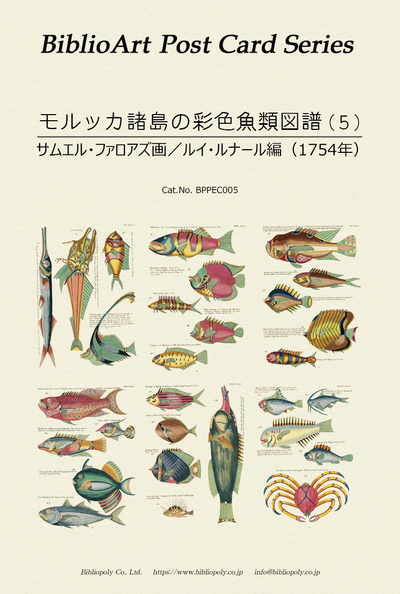 ポストカードセット：BPPEC005：サムエル・ファロアズの『モルッカ諸島の彩色魚類図譜』（５）