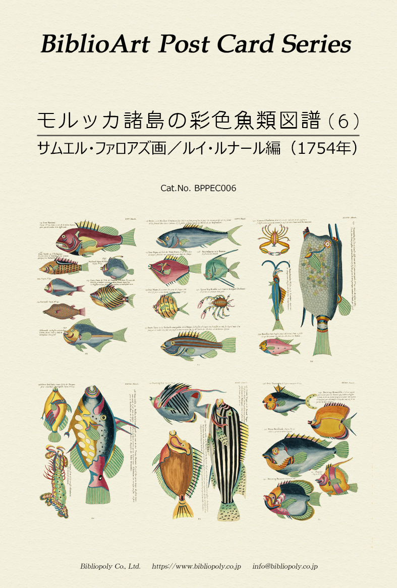 ポストカードセット：BPPEC006：サムエル・ファロアズの『モルッカ諸島の彩色魚類図譜』（６）