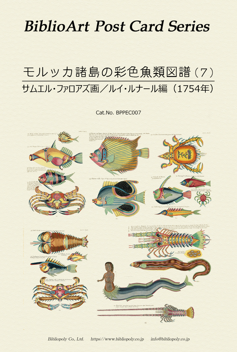 ポストカードセット：BPPEC007：サムエル・ファロアズの『モルッカ諸島の彩色魚類図譜』（７）