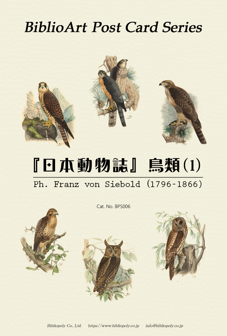 ポストカードセット：BPS006：シーボルトの『日本動物誌』鳥類（１）
