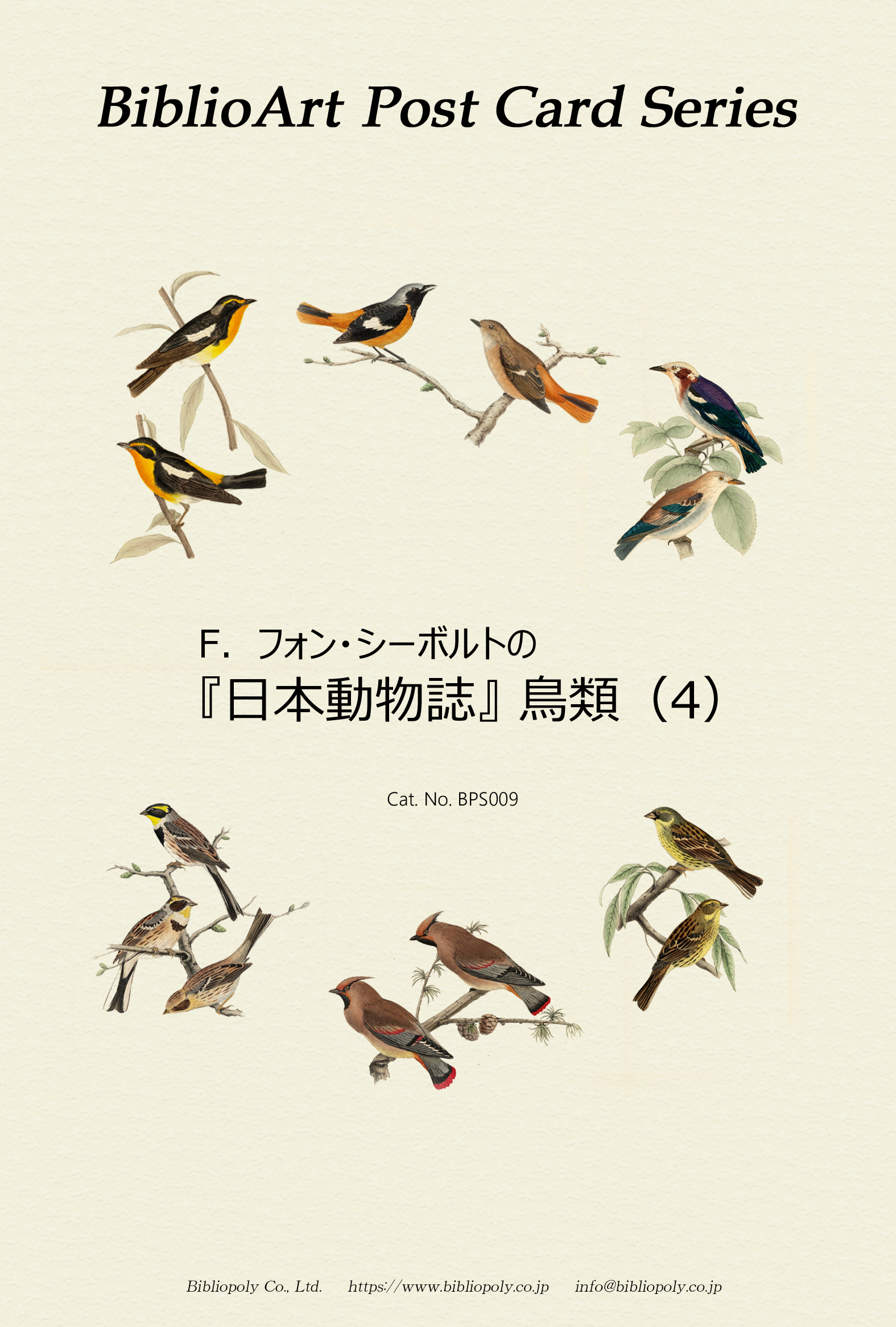 ポストカードセット：BPS009：シーボルトの『日本動物誌』鳥類（４）
