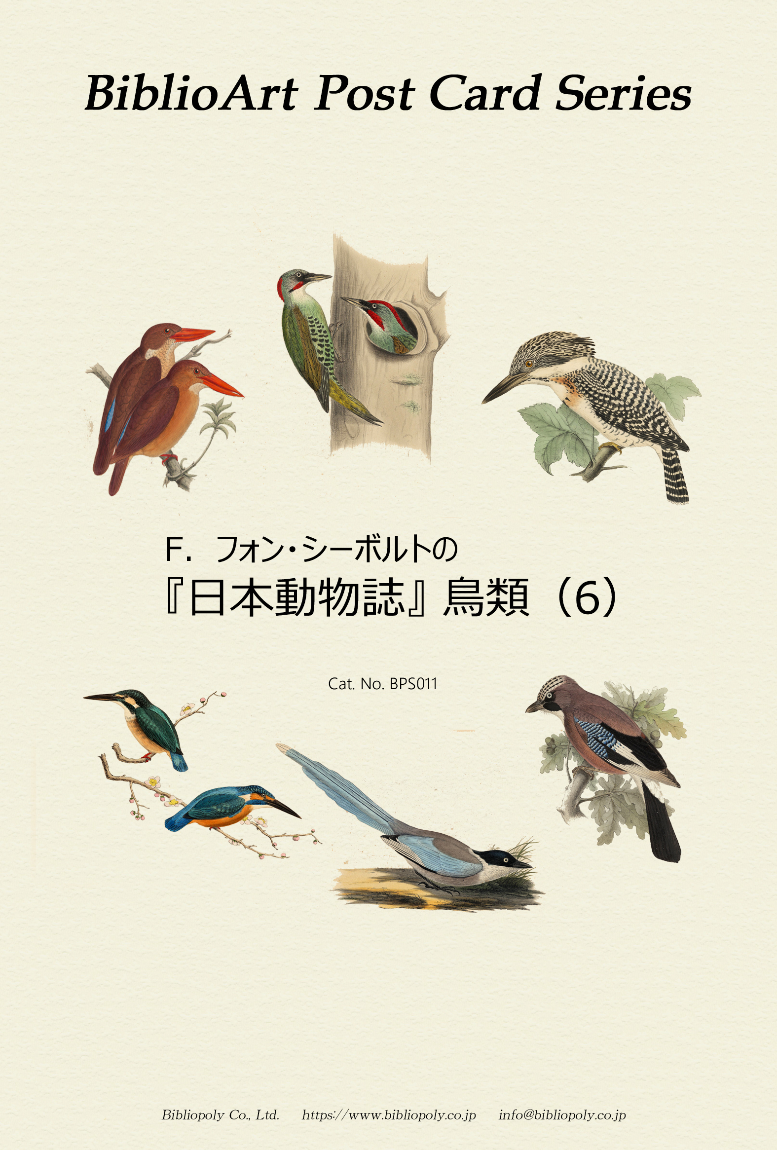 ポストカードセット：BPS011：シーボルトの『日本動物誌』鳥類（６）