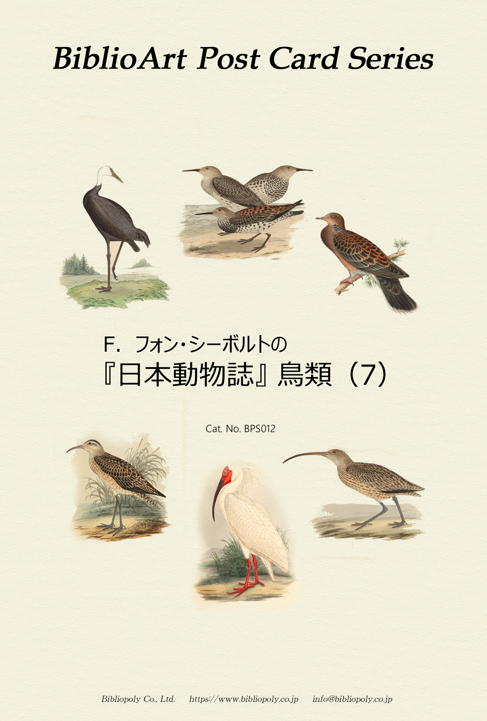 ポストカードセット：BPS012：シーボルトの『日本動物誌』鳥類（７）