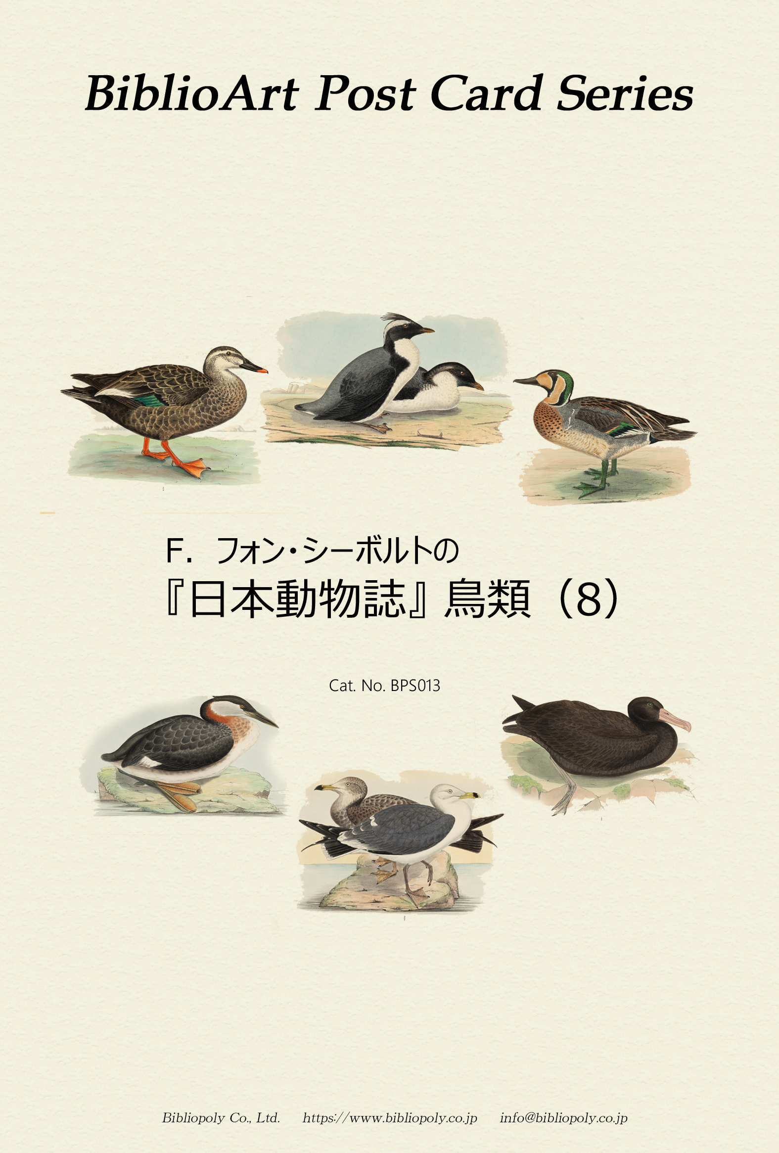 ポストカードセット：BPS013：シーボルトの『日本動物誌』鳥類（８）