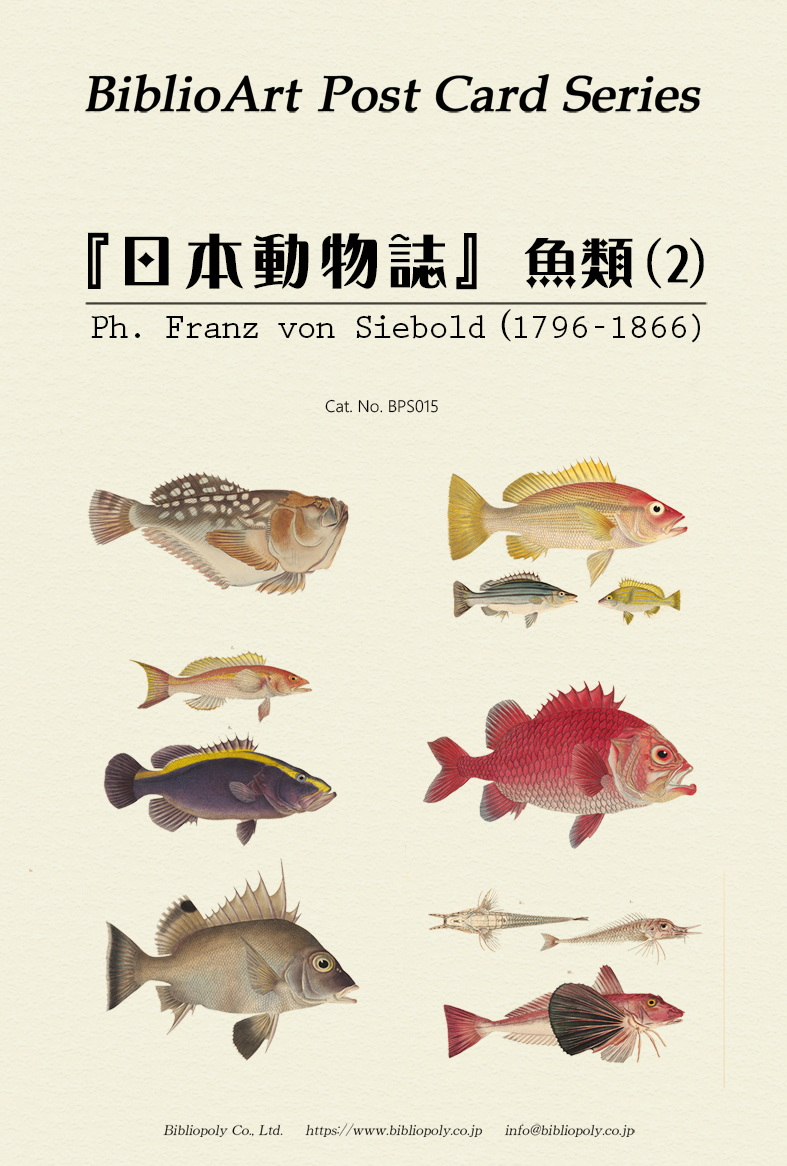 ポストカードセット：BPS015：シーボルトの『日本動物誌』魚類（２）