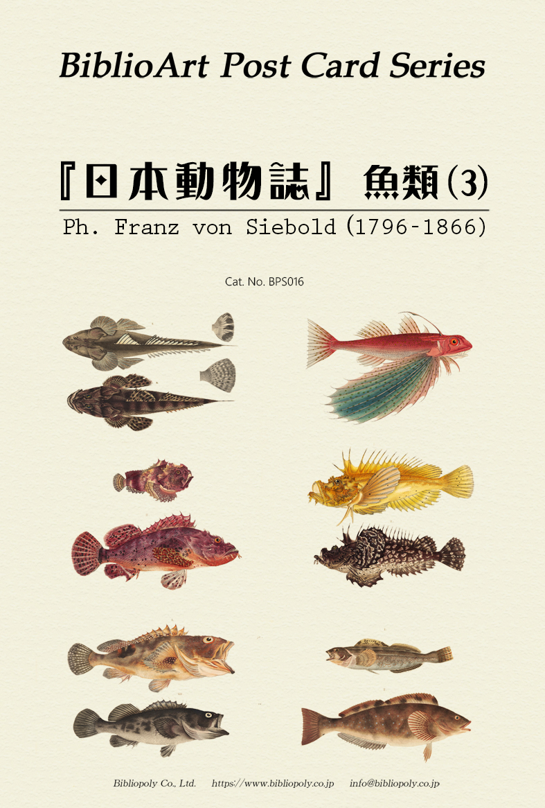 ポストカードセット：BPS016：シーボルトの『日本動物誌』魚類（３）