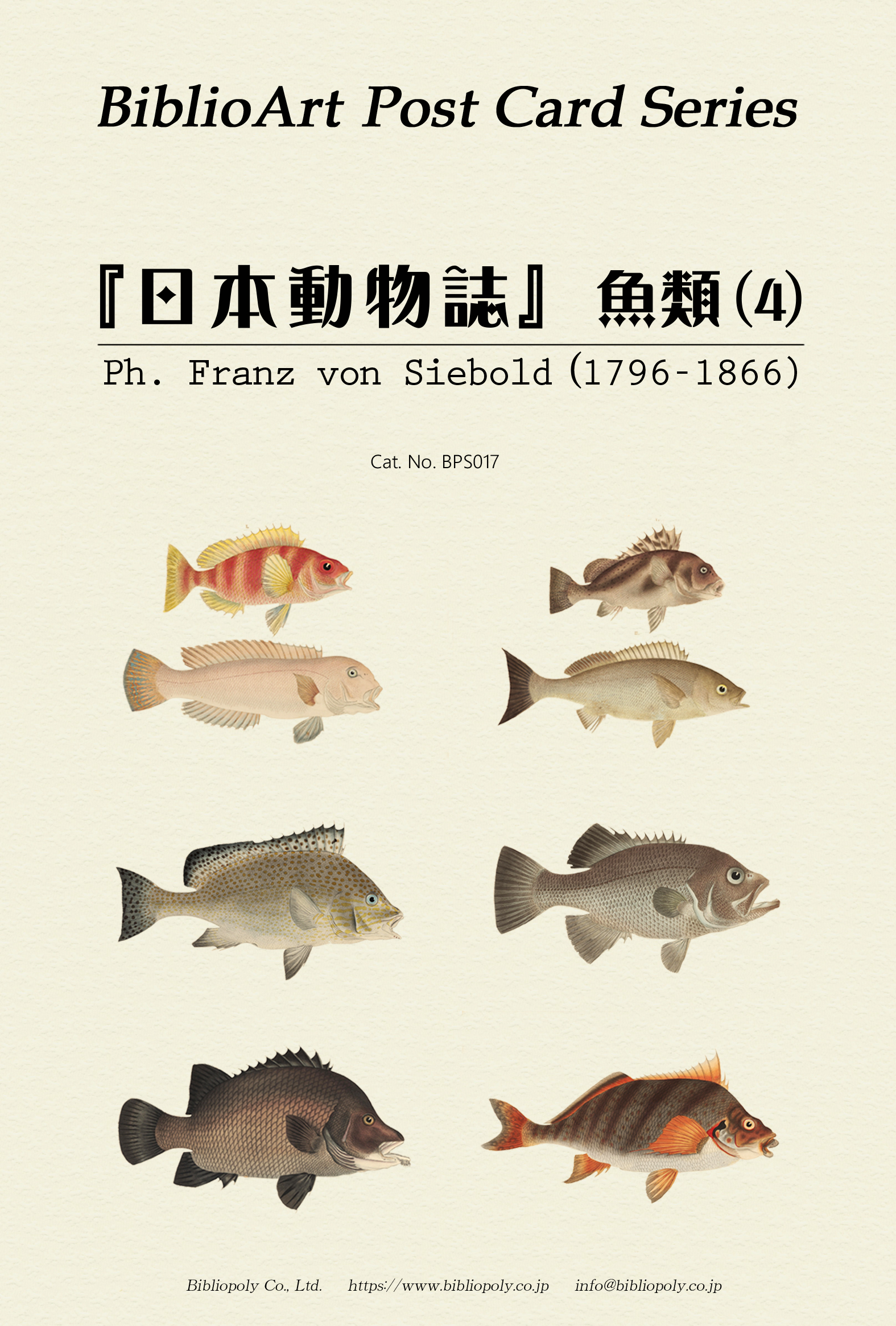 ポストカードセット：BPS017：シーボルトの『日本動物誌』魚類（４）