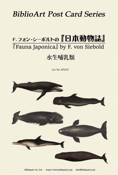 ポストカードセット：BPS101：シーボルトの『日本動物誌』（水生哺乳類）