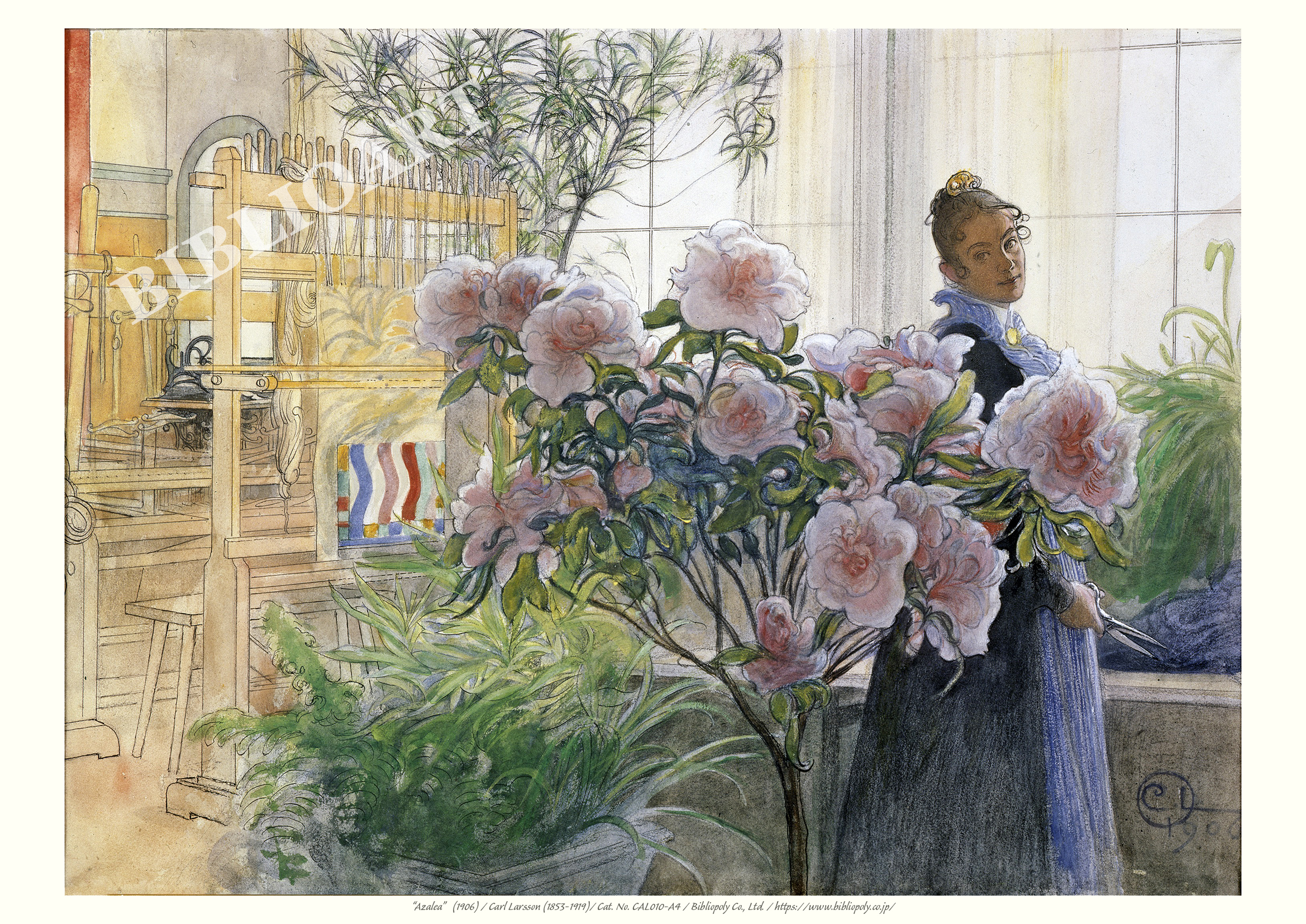 額絵（Ａ４）：CAL010-A4：	Azalea (1906)