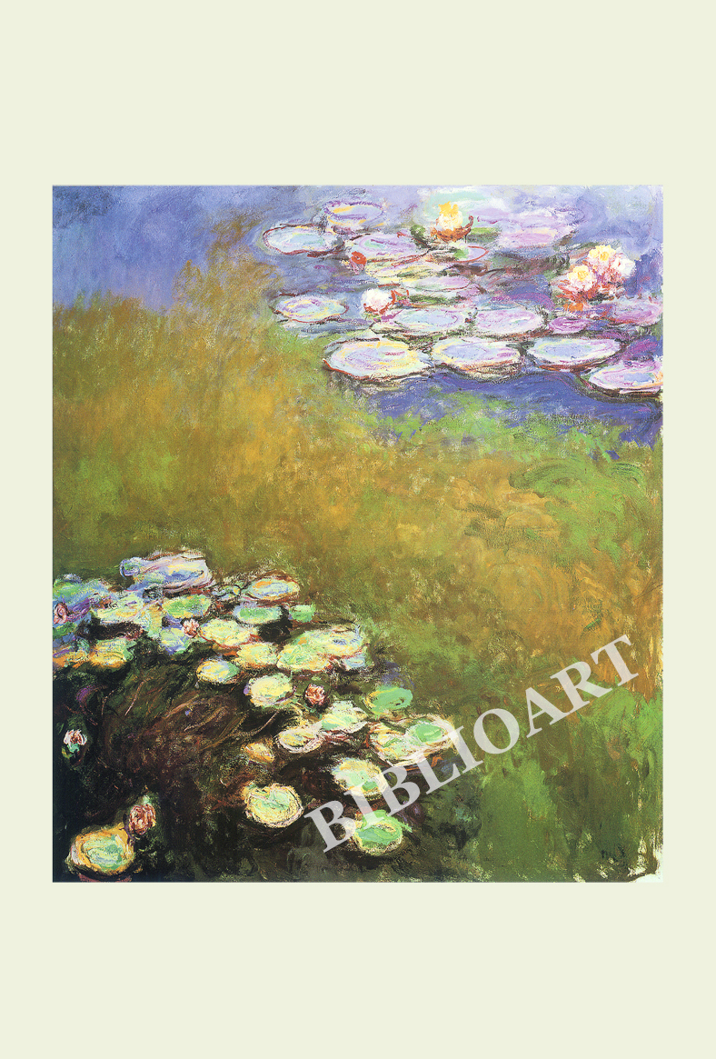 ポストカード単品：CM003-BP
：Water-lilies