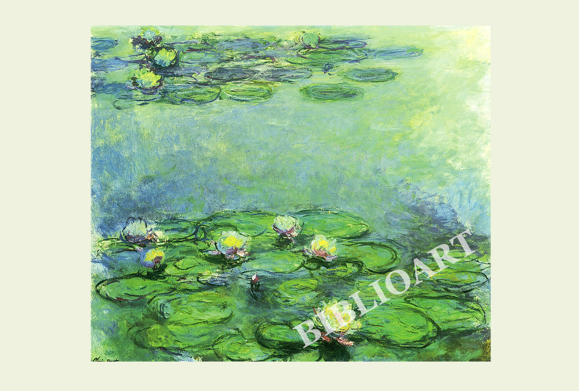 ポストカード単品：CM005-BP
：Water-lilies