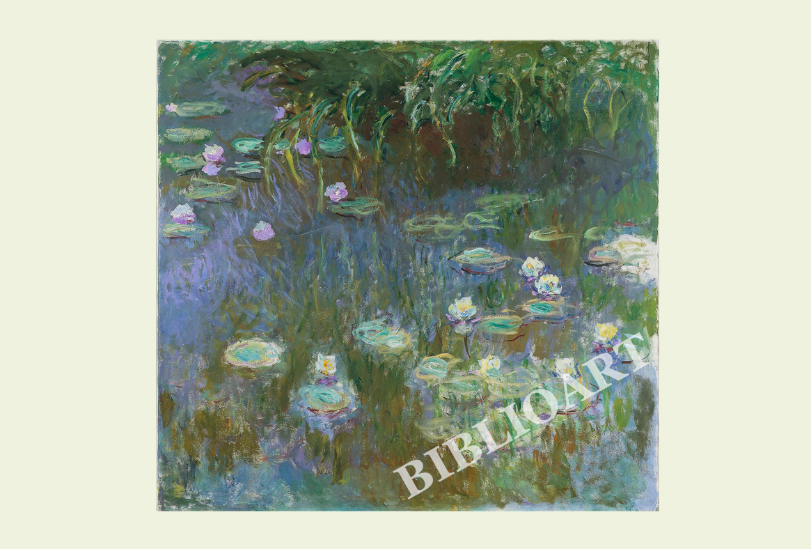 ポストカード単品：CM108-BP
：Water lilies