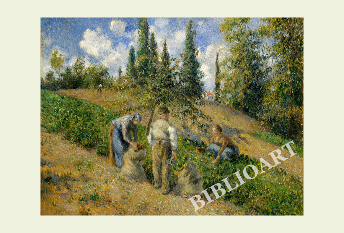 ポストカード単品：CP008-BP
：The Harvest, Pontoise (La Recolte, Pontoise)