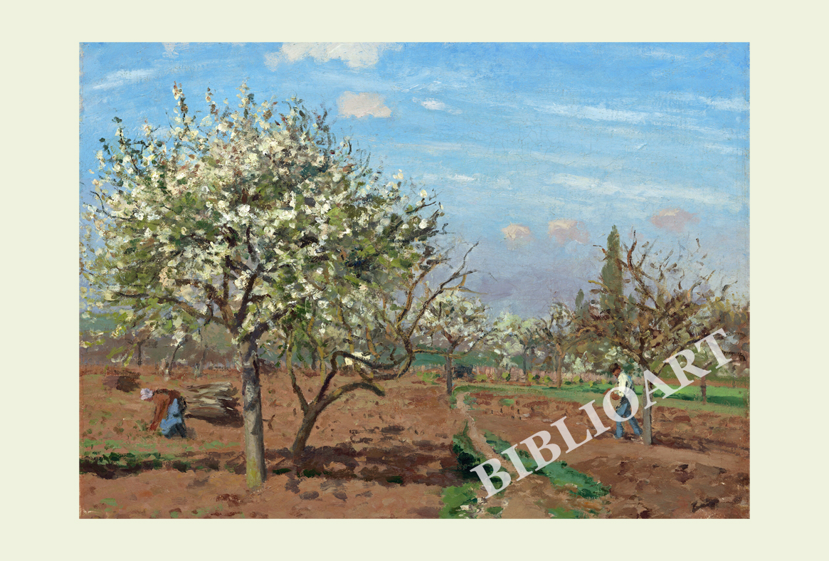 ポストカード単品：CP023-BP
：Orchard in Bloom, Louveciennes