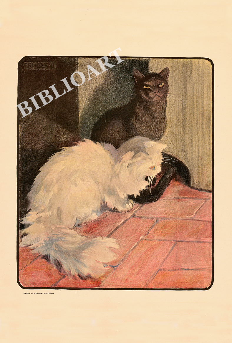 ポストカード単品：EFB001-BP：「ネコの本」より - 1