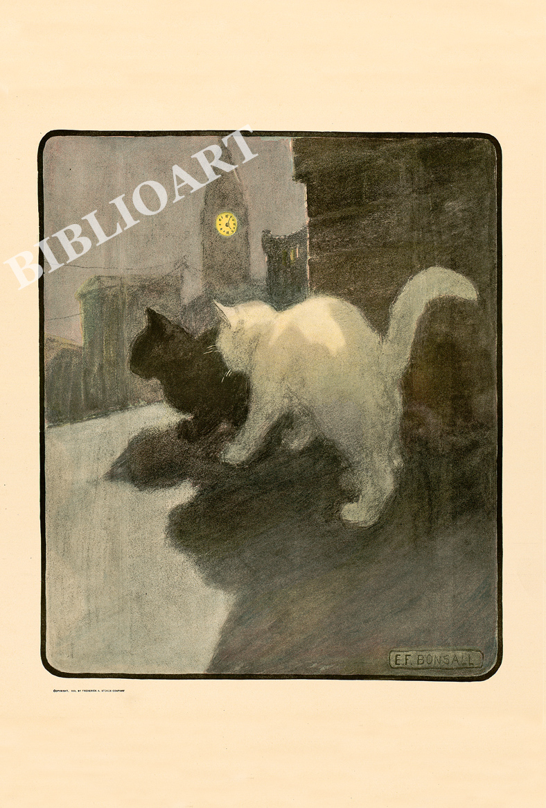 ポストカード単品：EFB003-BP：「ネコの本」より - 3