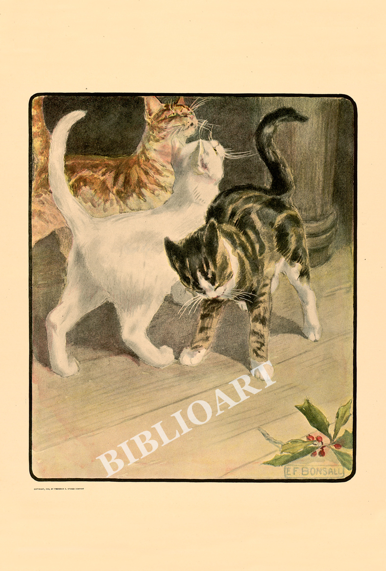 ポストカード単品：EFB006-BP：「ネコの本」より - 6