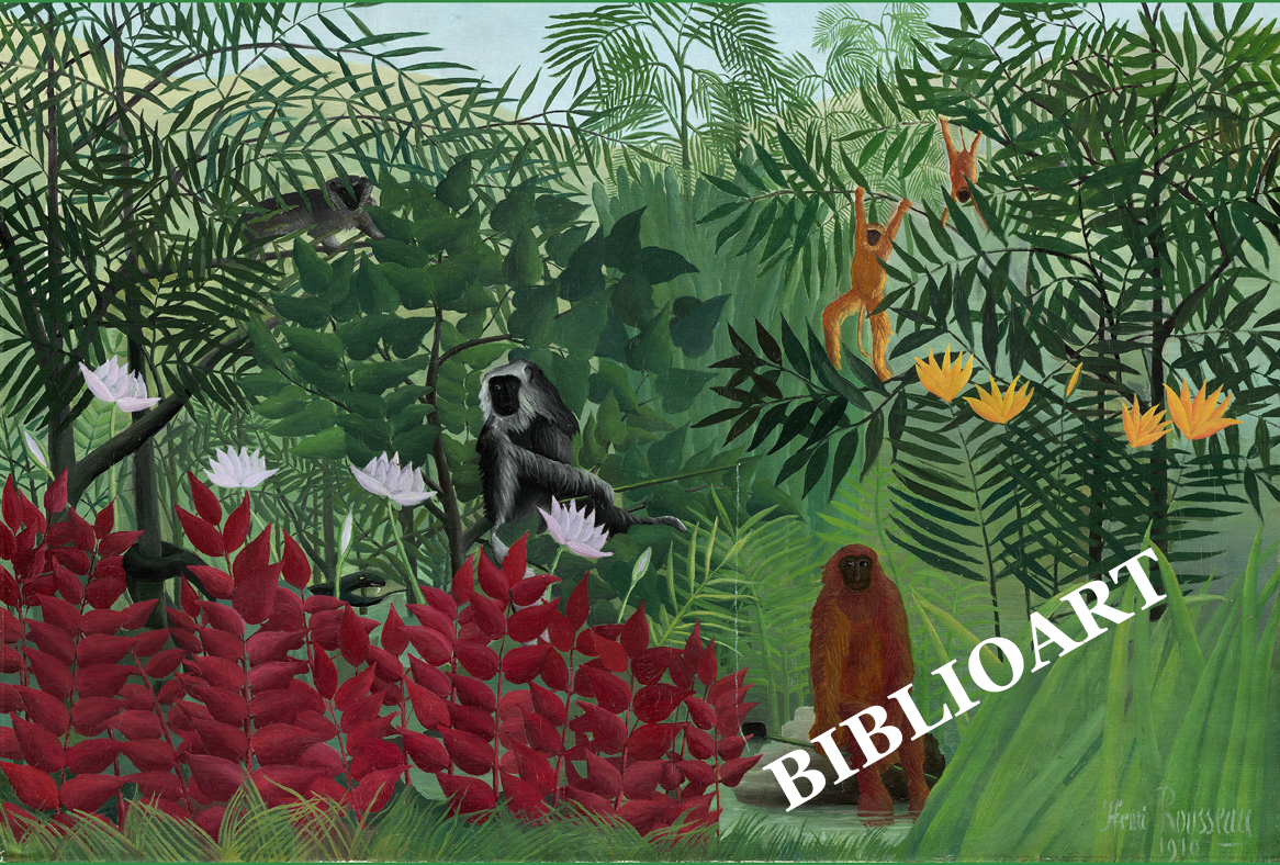 ポストカード単品：HJFR015-BP：Tropical Forest with Monkeys