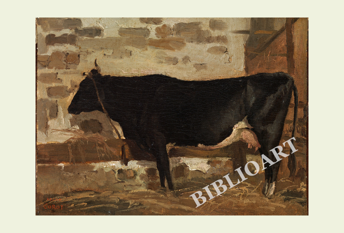 ポストカード単品：JBCC007-BP：Cow in a Barn