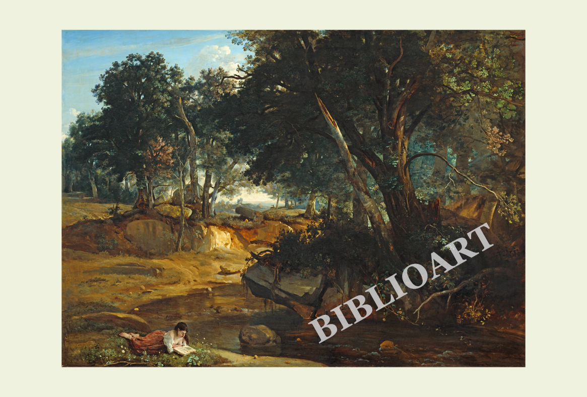ポストカード単品：JBCC021-BP：Forest of Fontainebleau