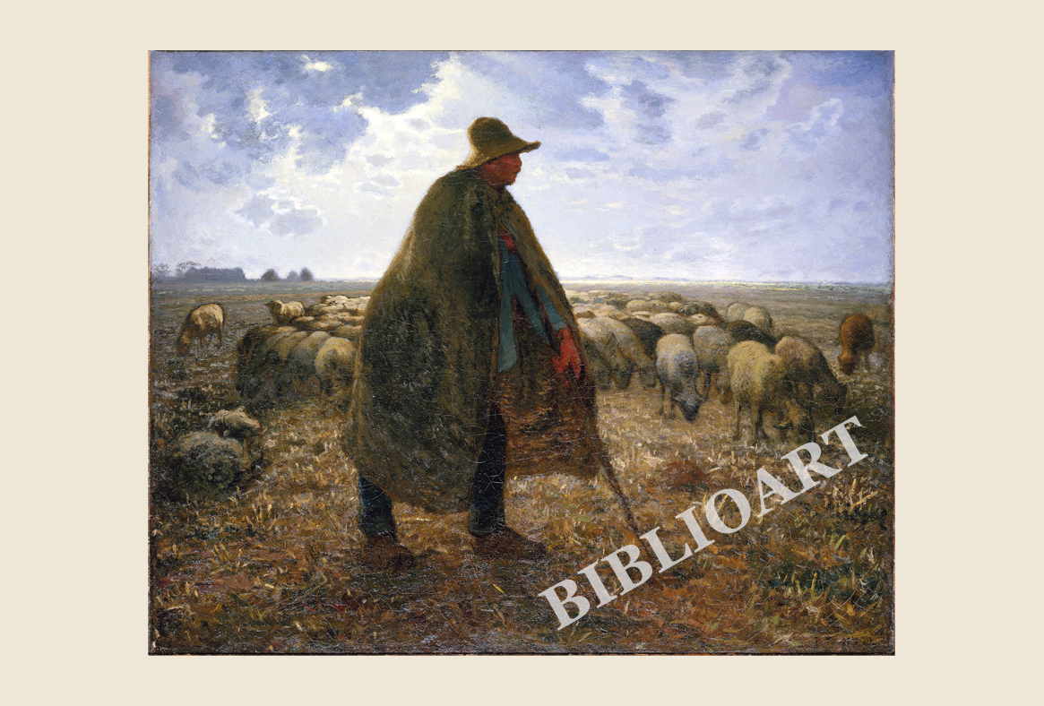 ポストカード単品：JFM006-BP：羊の群れを世話する羊飼い