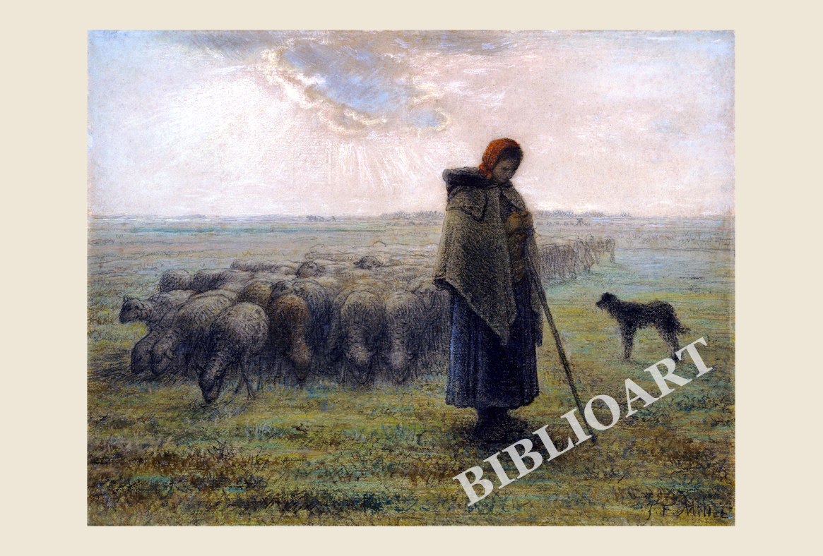 ポストカード単品：JFM011-BP：羊飼いとその群れ