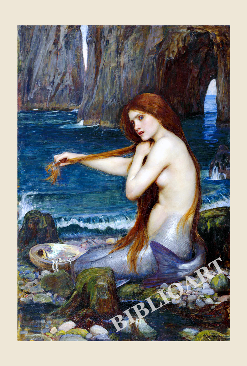 ポストカード単品：JWW002-BP：The Mermaid