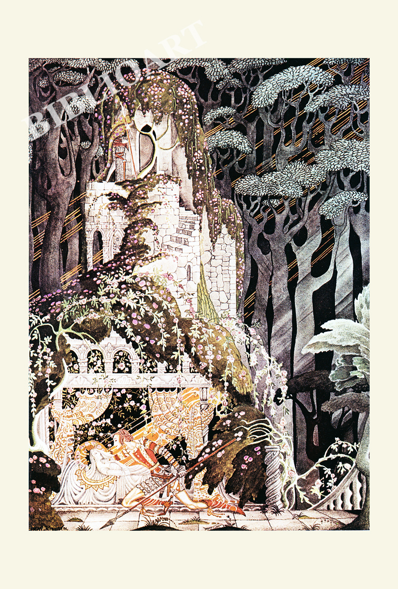 ポストカード単品：KN016-BP
：薔薇の茨の森に包まれて眠る姫と王子