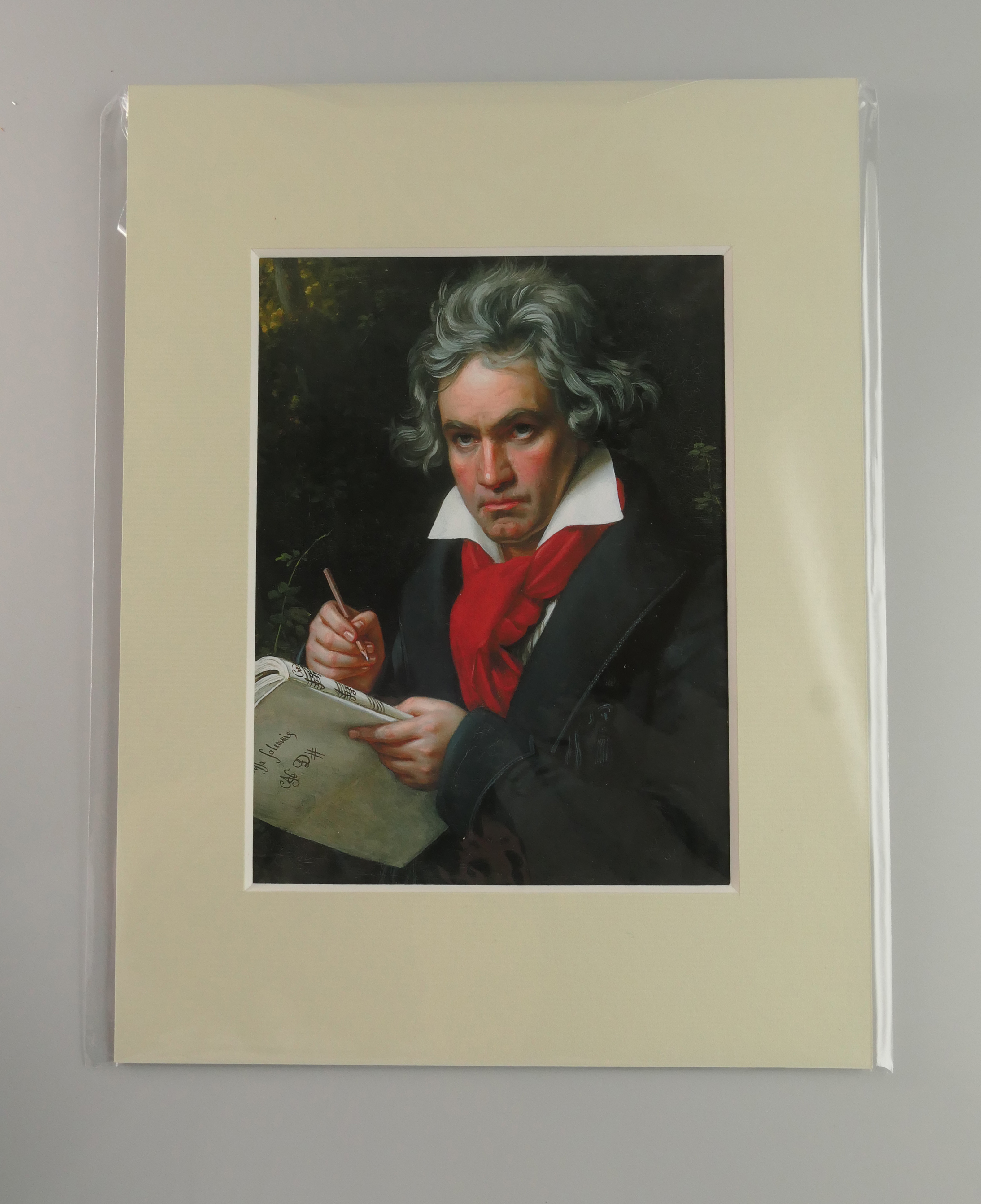 額絵（Ａ４）：M019-A42
：ベートーヴェンの肖像画