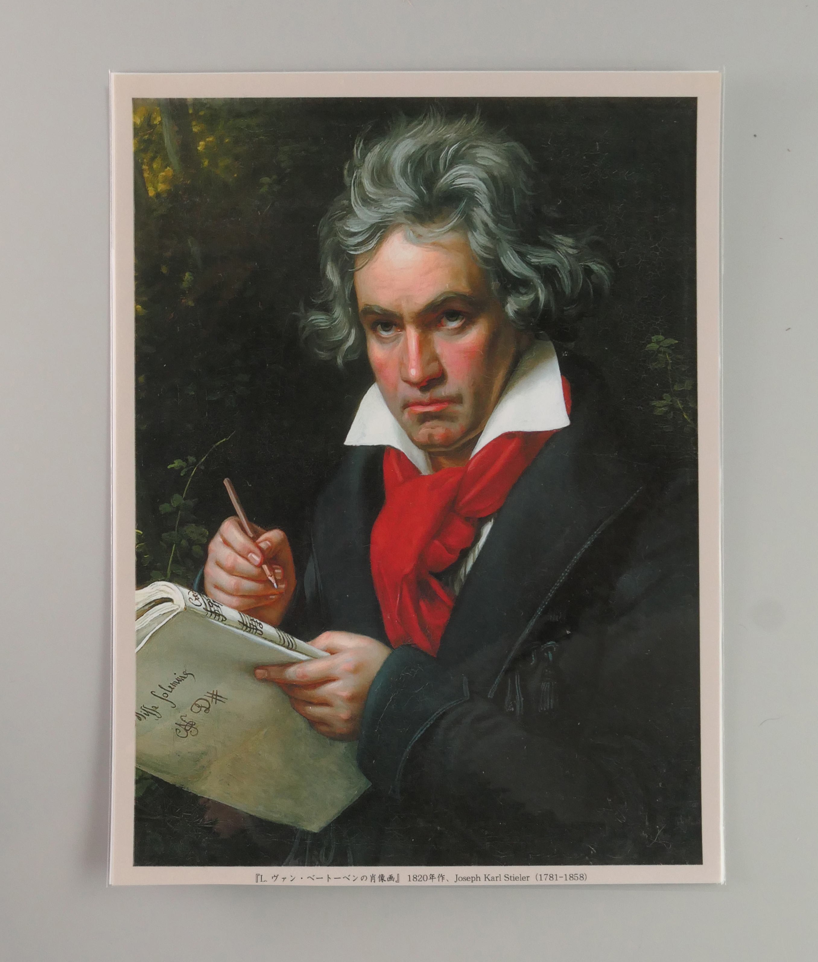 額絵（Ａ５）：M019-A5
：ベートーヴェンの肖像画