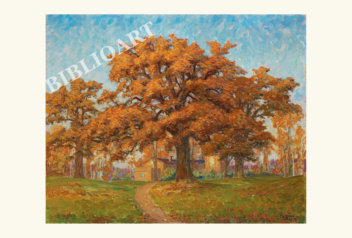 ポストカード単品：PEU004-BP：	Scene from Djurg?rden