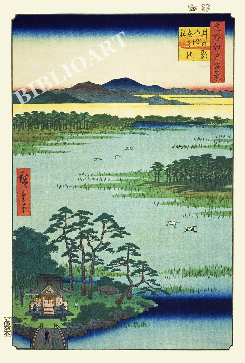 ポストカード単品：UH066-BP：名所江戸百景 『井の頭の池 弁天の社』