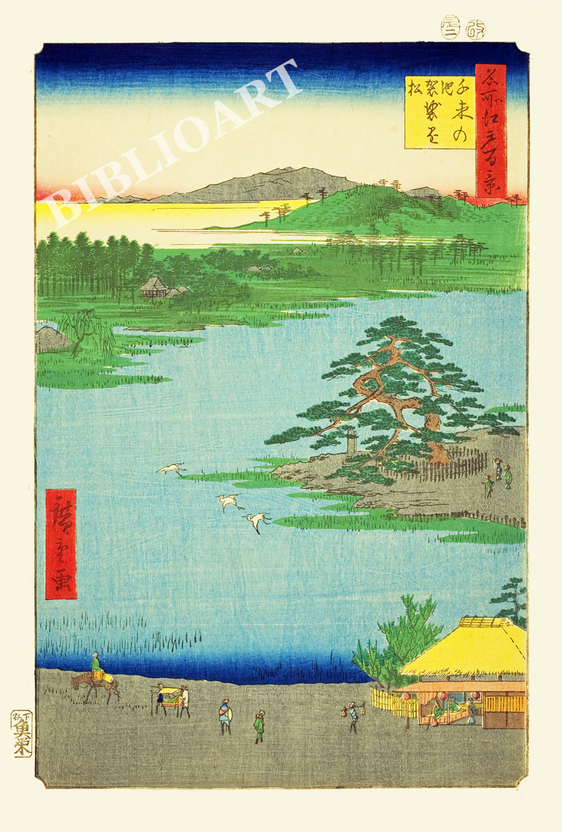 ポストカード単品：UHMEH111-BP：名所江戸百景 『千束の池 袈裟懸松』
