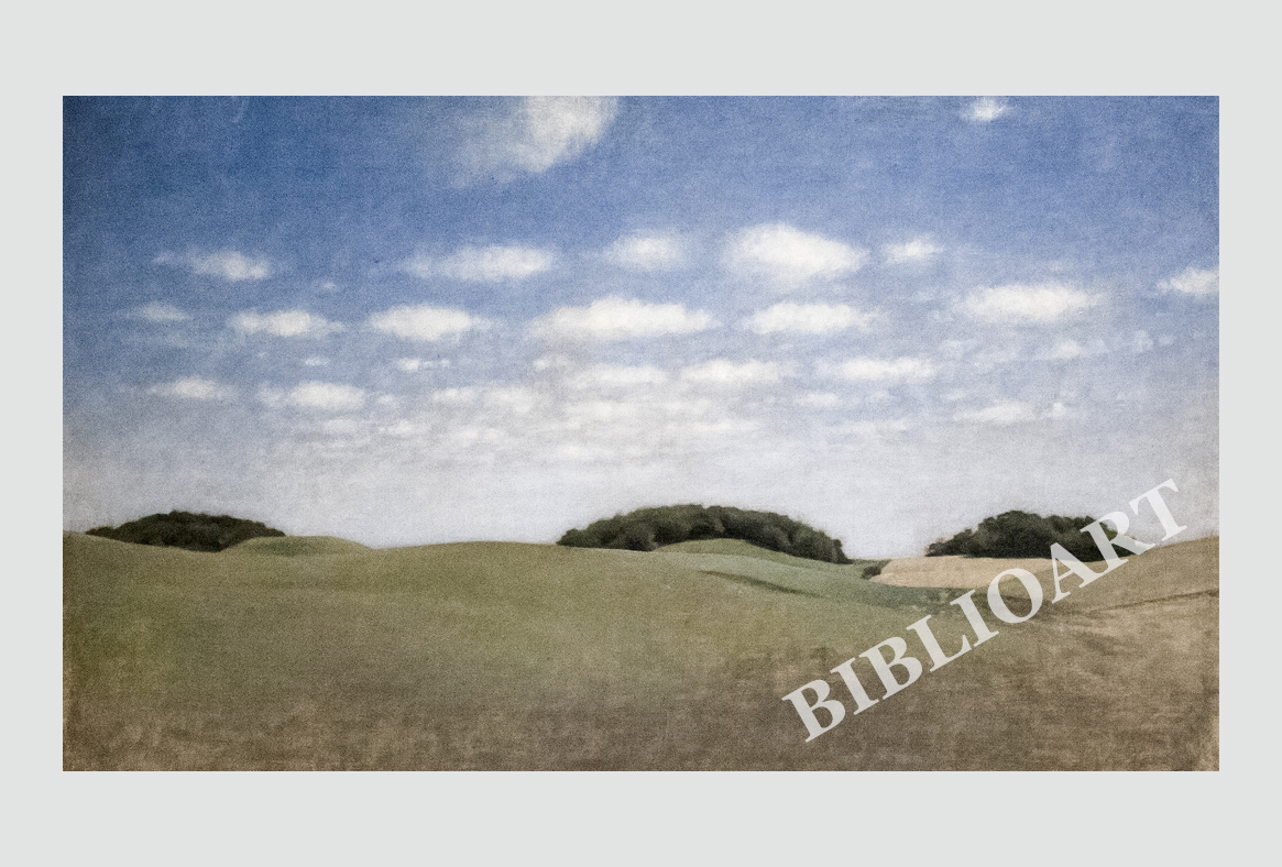 ポストカード単品：VH014-BP
：Landscape From Lejre