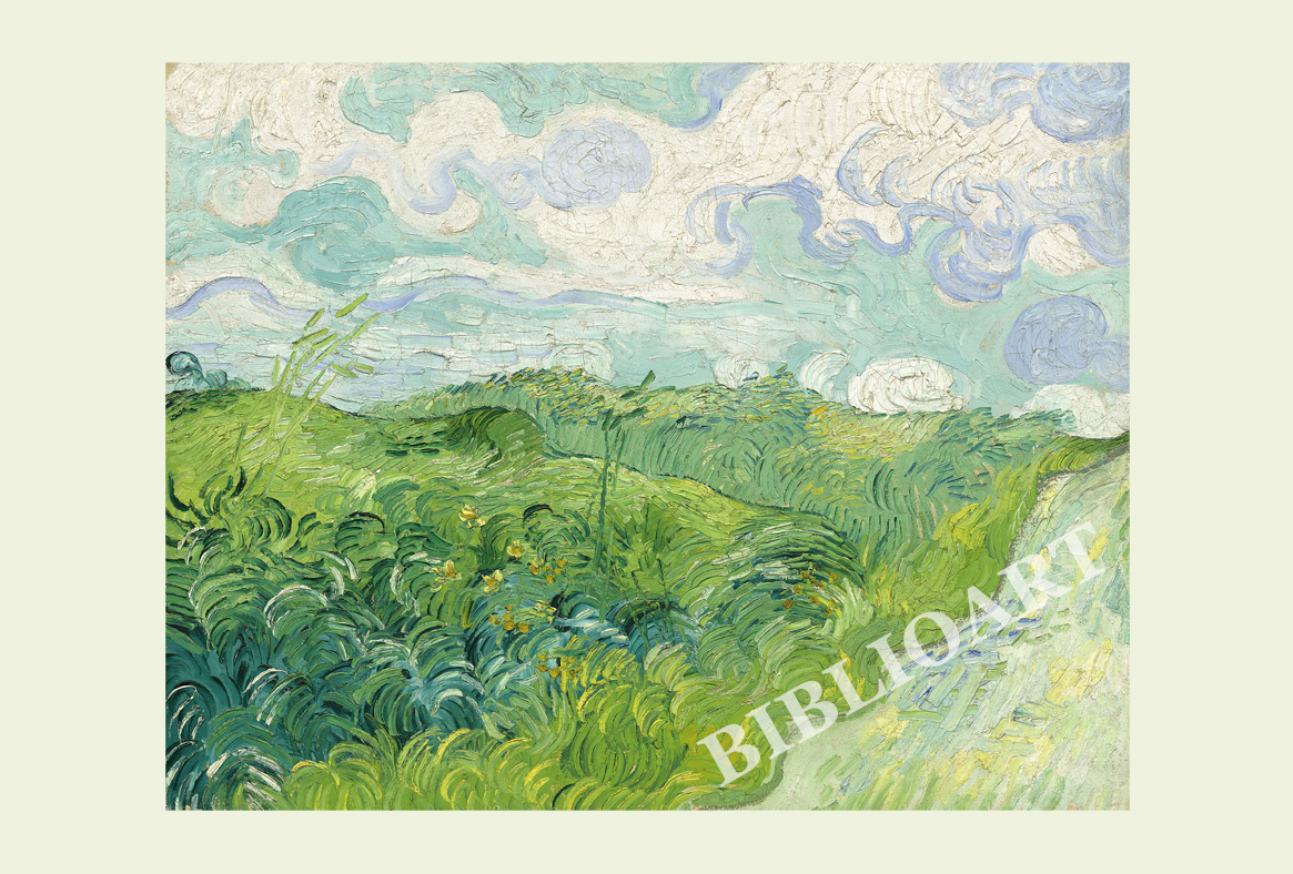 ポストカード単品：VVG063-BP：Green Wheat Fields, Auvers