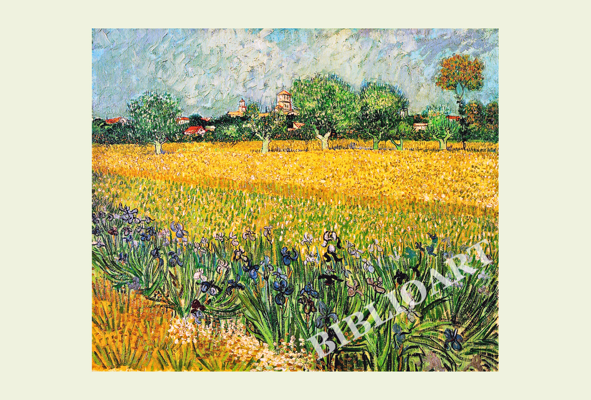 ポストカード単品：VVG074-BP：View of Arles with Irises in the Foreground