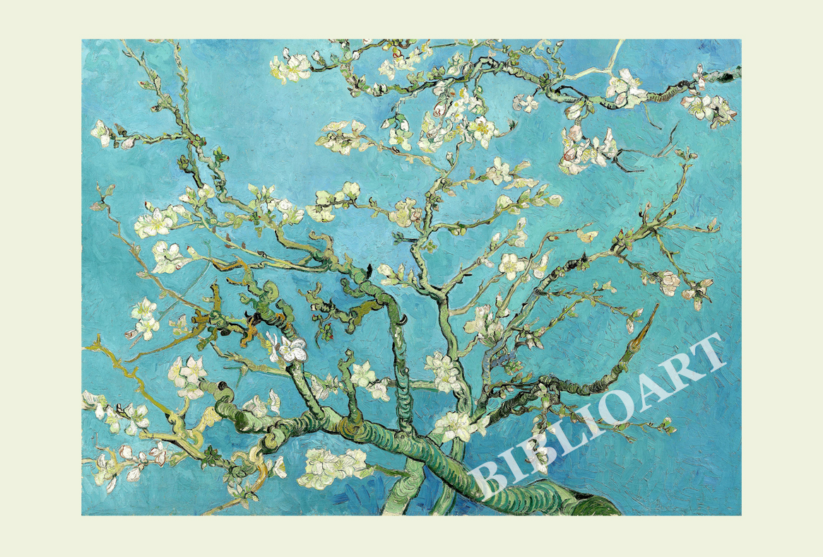 ポストカード単品：VVG076-BP：Almond Blossom