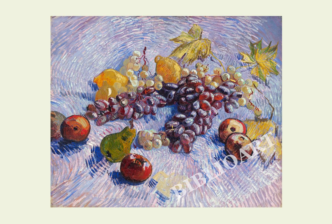 ポストカード単品：VVG077-BP：Grapes, Lemons, Pears, and Apples (1887)