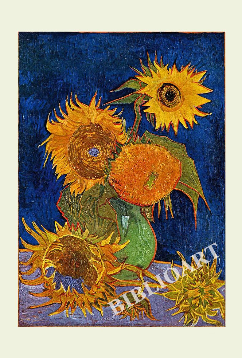 ポストカード単品：VVG106-BP：Sunflowers (F459), 2nd version