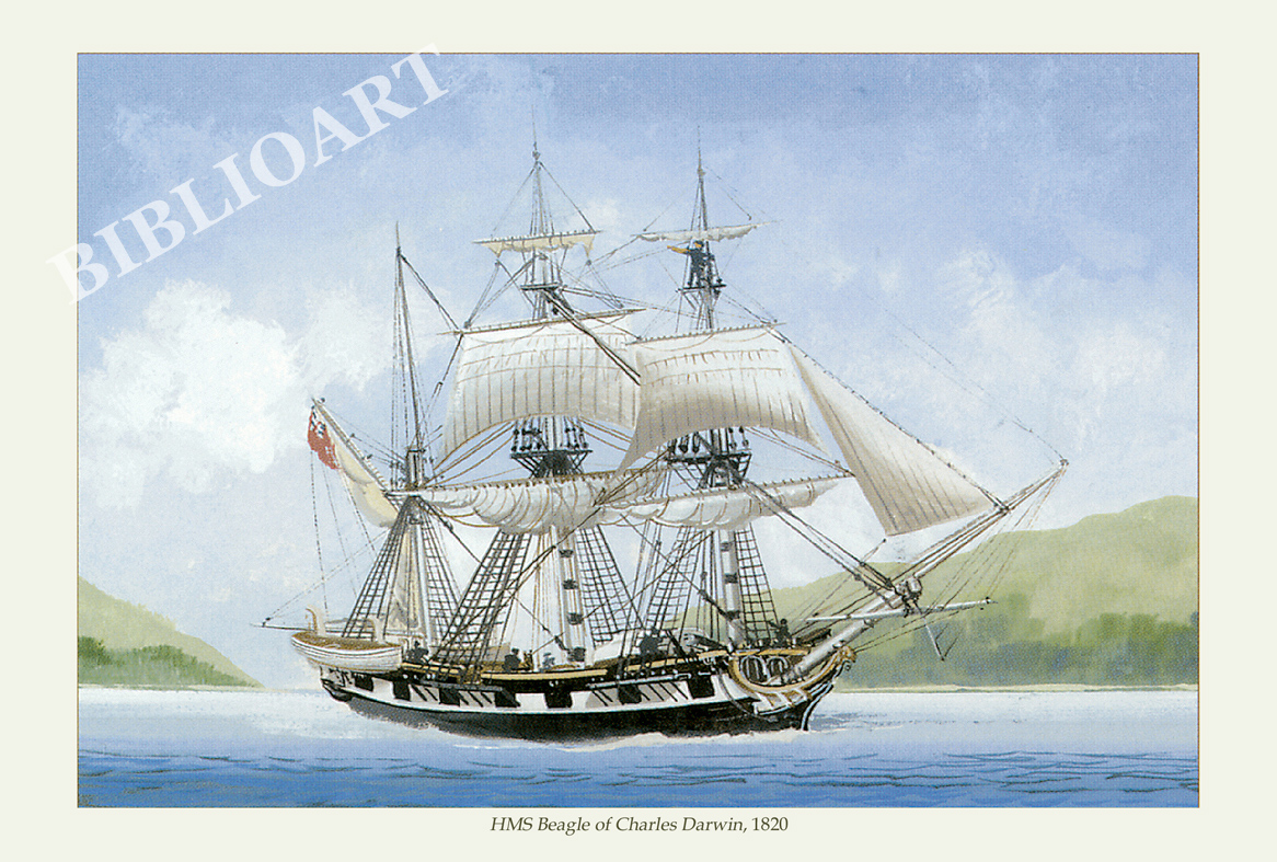 ポストカード単品：Z050-BP
：HMS Beagle of Charles Darwin, 1820