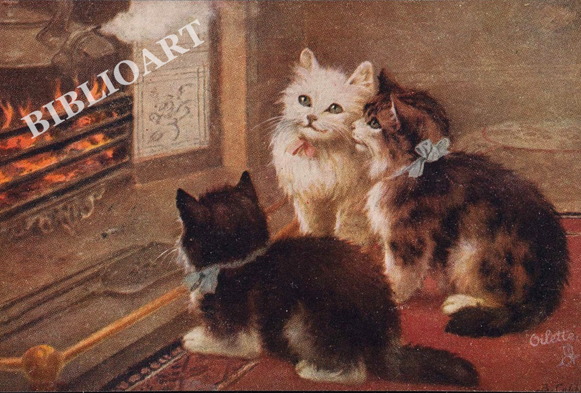 ポストカード単品：Z189-BP
：Kittens by a fireplace