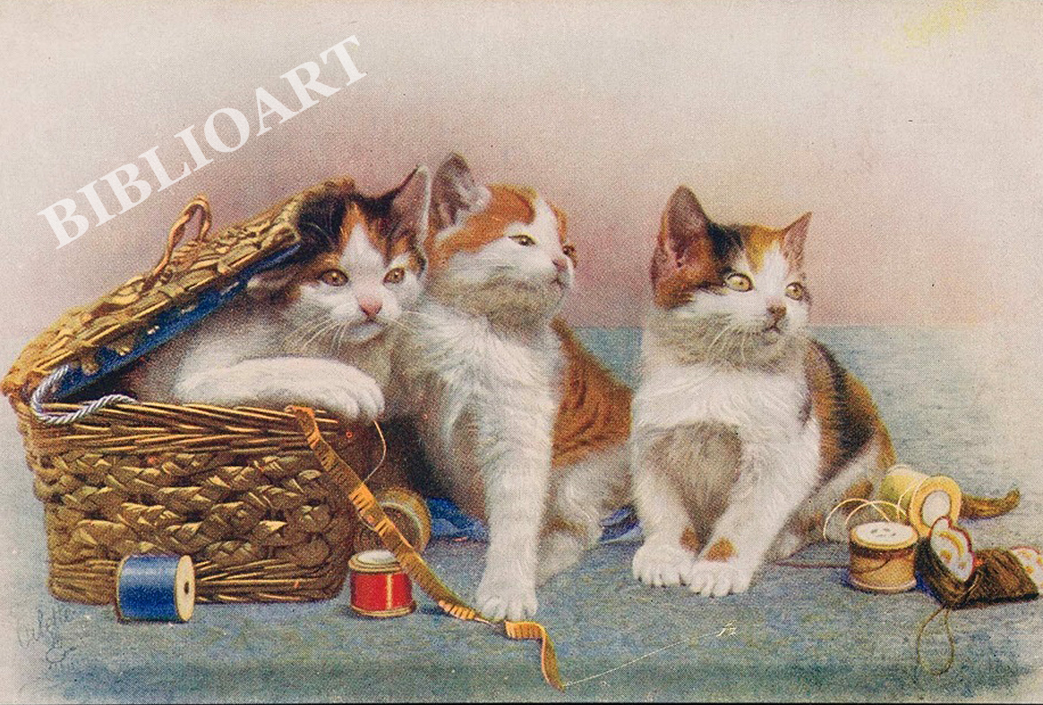ポストカード単品：Z198-BP
：Three kittens and a sewing basket